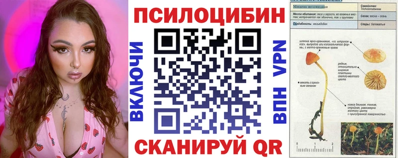 Галлюциногенные грибы Magic Shrooms Новозыбков