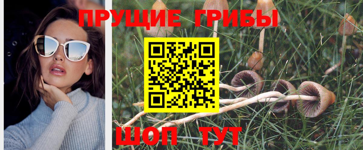 Новозыбков  Галлюциногенные грибы ЛСД  Вход с VPN 