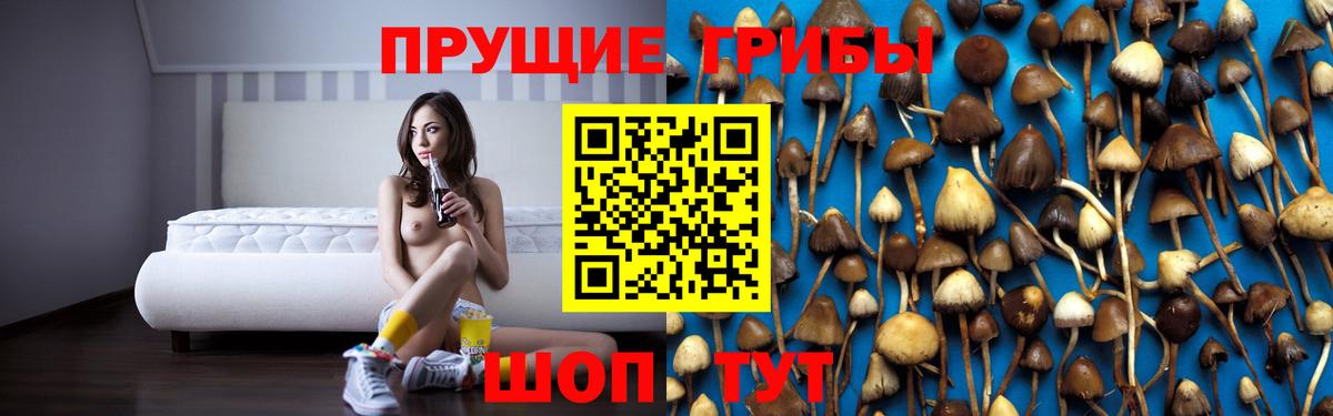 Галлюциногенные грибы GOLDEN TEACHER Новозыбков